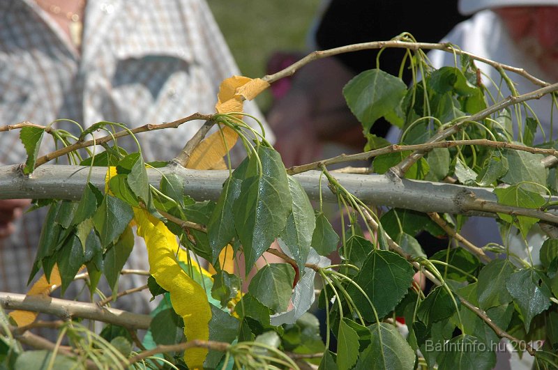 torokbalinti_varosi_majalis_2012_529.jpg