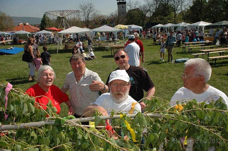 torokbalinti_varosi_majalis_2012_530.jpg