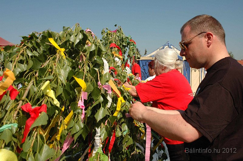 torokbalinti_varosi_majalis_2012_533.jpg