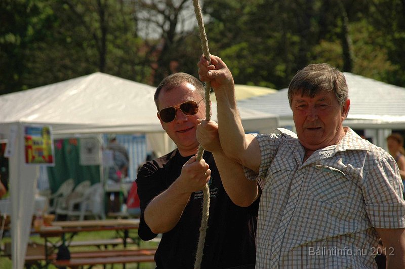 torokbalinti_varosi_majalis_2012_549.jpg