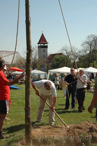torokbalinti_varosi_majalis_2012_550.jpg