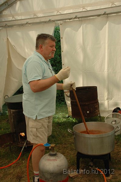 torokbalinti_varosi_majalis_2012_604.jpg