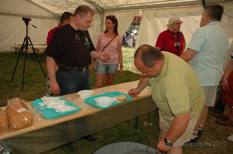 torokbalinti_varosi_majalis_2012_605.jpg