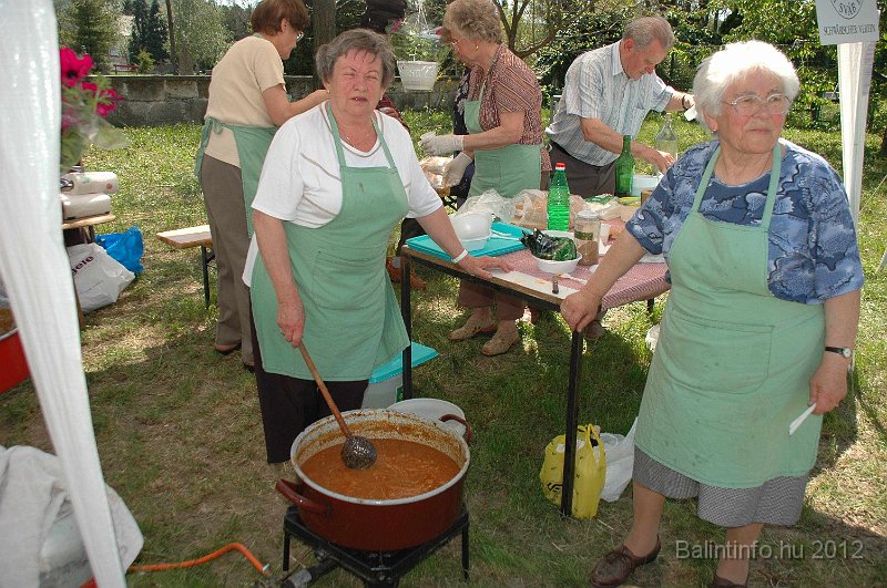torokbalinti_varosi_majalis_2012_615.jpg