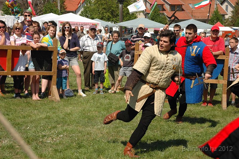 torokbalinti_varosi_majalis_2012_629.jpg