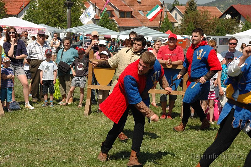 torokbalinti_varosi_majalis_2012_630.jpg