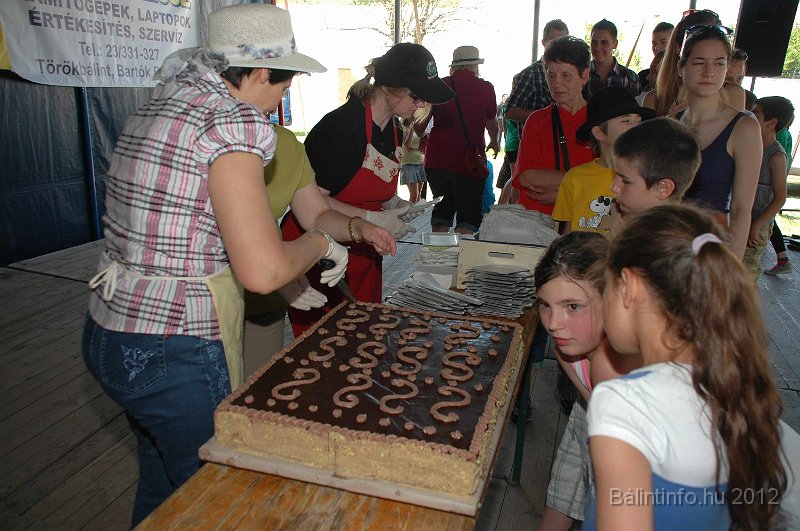 torokbalinti_varosi_majalis_2012_670.jpg