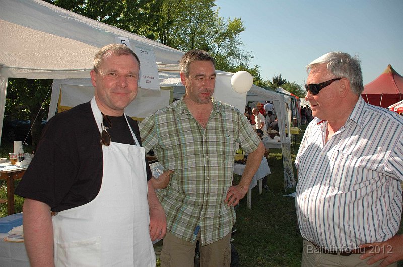torokbalinti_varosi_majalis_2012_731.jpg