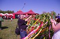 torokbalinti_varosi_majalis_2012_051