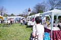 torokbalinti_varosi_majalis_2012_241