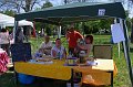 torokbalinti_varosi_majalis_2012_243