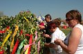 torokbalinti_varosi_majalis_2012_524