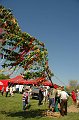 torokbalinti_varosi_majalis_2012_538