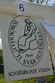 torokbalinti_varosi_majalis_2012_595
