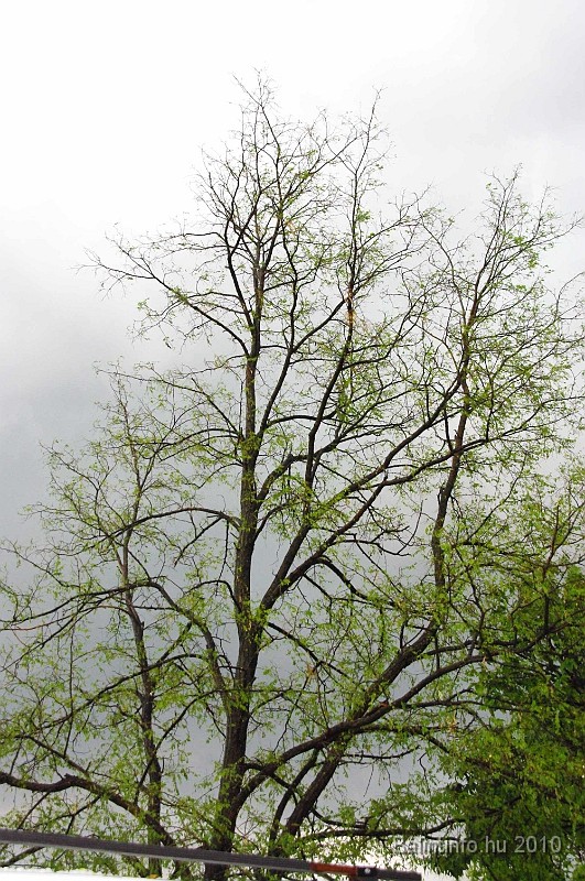 torokbalinti_vihar_2010_012.jpg