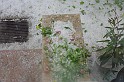 torokbalinti_vihar_2010_003