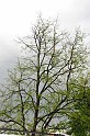 torokbalinti_vihar_2010_012