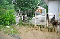 torokbalinti_vihar_2010_025
