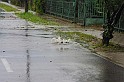 torokbalinti_vihar_2010_073