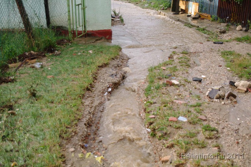 vihar_2011_julius_014.jpg