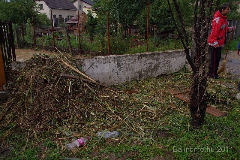vihar_2011_julius_031.jpg