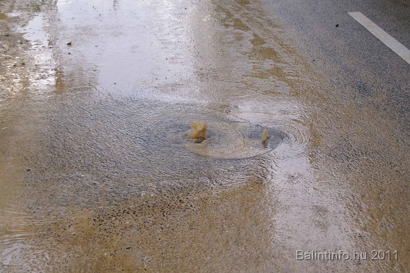 vihar_2011_julius_049.jpg