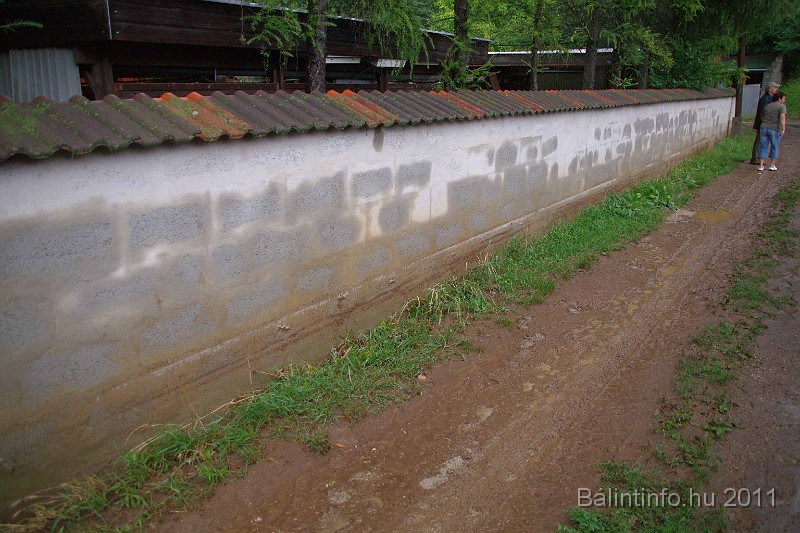 vihar_2011_julius_059.jpg