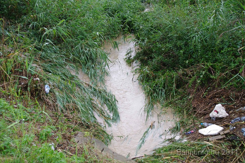 vihar_2011_julius_067.jpg