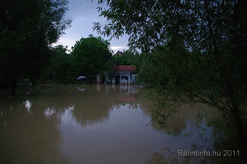 vihar_2011_julius_079.jpg