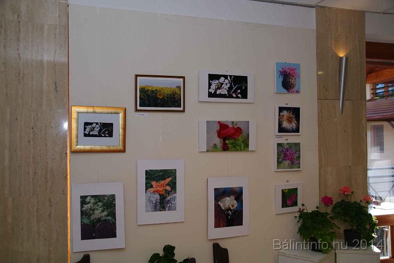 toth_jozsef_kiallitas_2014_014.jpg