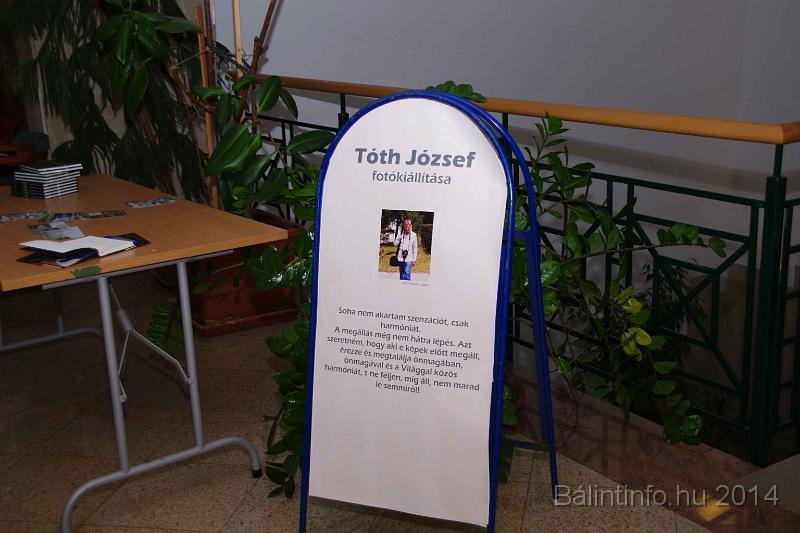 toth_jozsef_kiallitas_2014_045.jpg