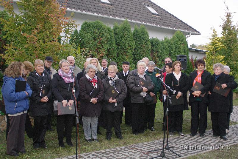 torokbalint_testvervarosok_tere_avatas_2016_001.jpg