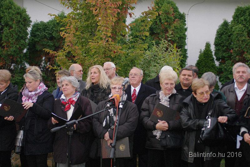 torokbalint_testvervarosok_tere_avatas_2016_009.jpg