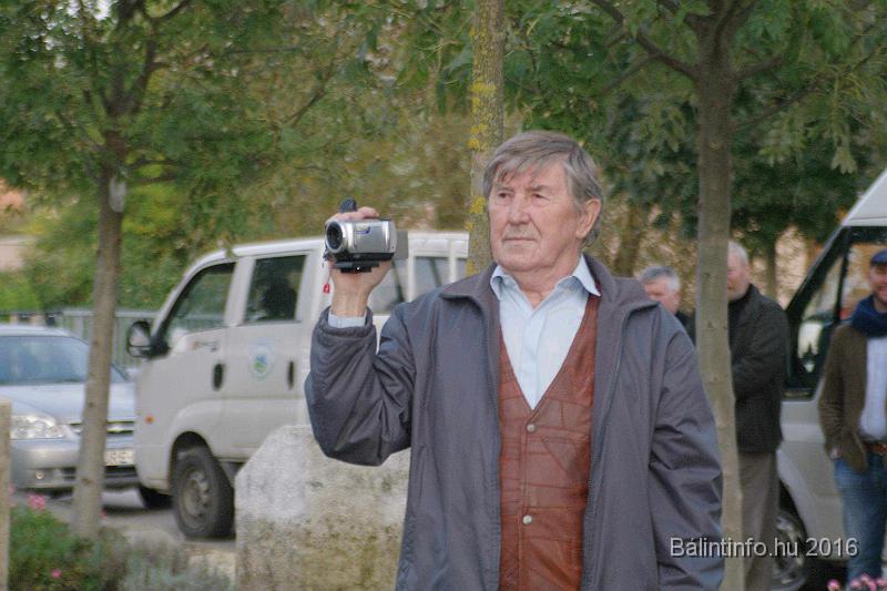 torokbalint_testvervarosok_tere_avatas_2016_016.jpg