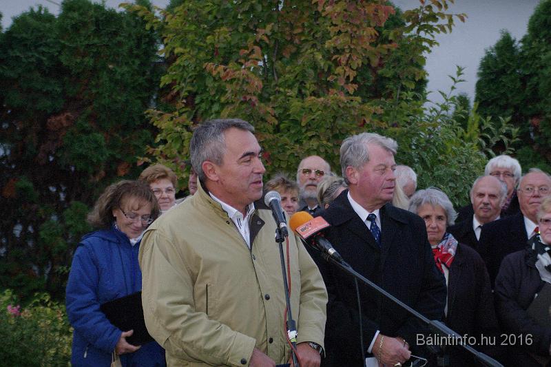 torokbalint_testvervarosok_tere_avatas_2016_020.jpg