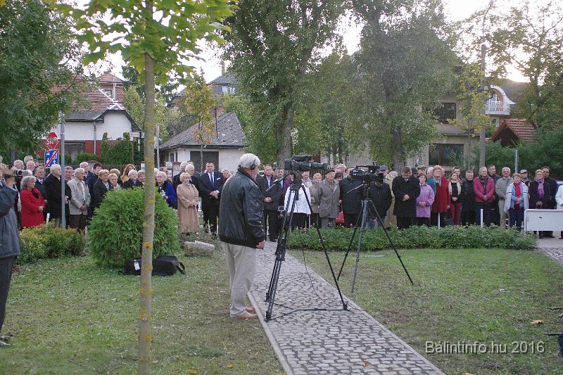 torokbalint_testvervarosok_tere_avatas_2016_029.jpg