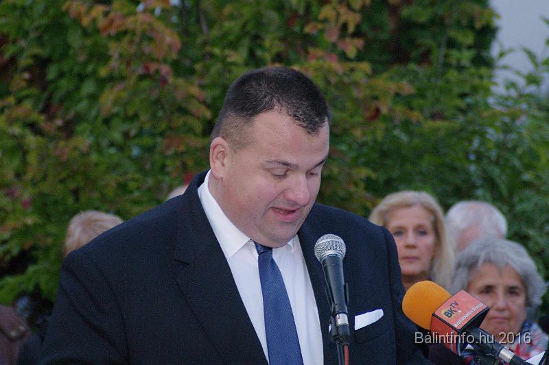 torokbalint_testvervarosok_tere_avatas_2016_040.jpg