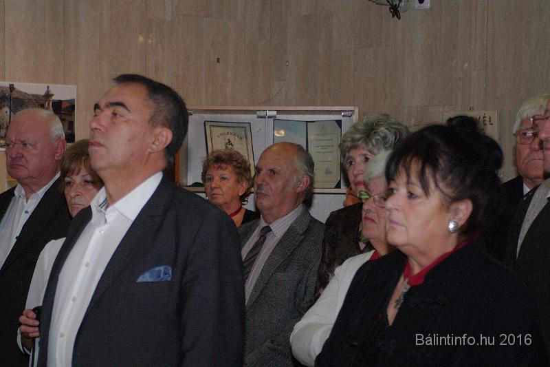 torokbalint_testvervarosok_tere_avatas_2016_062.jpg