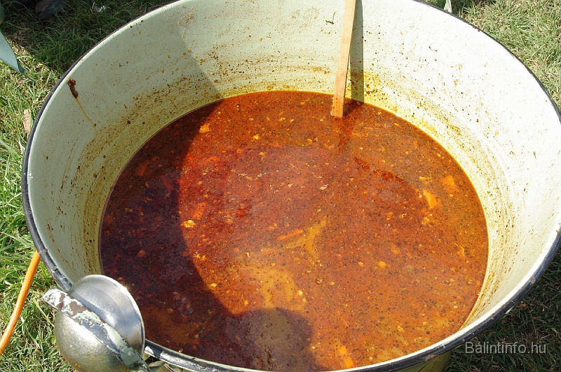 verseny_szept_2009_046.jpg