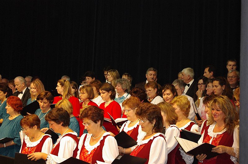korustalalkozo_2008_060.jpg