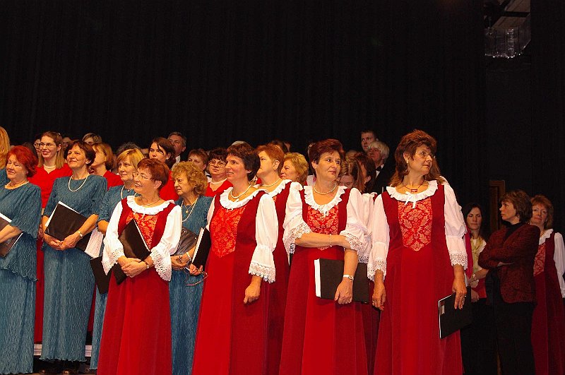 korustalalkozo_2008_063.jpg