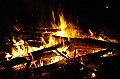 lampas_felvonulas_2008_028