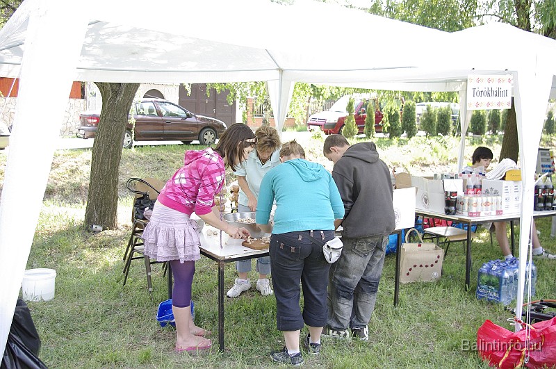 varosi_majalis_2009_0004.jpg