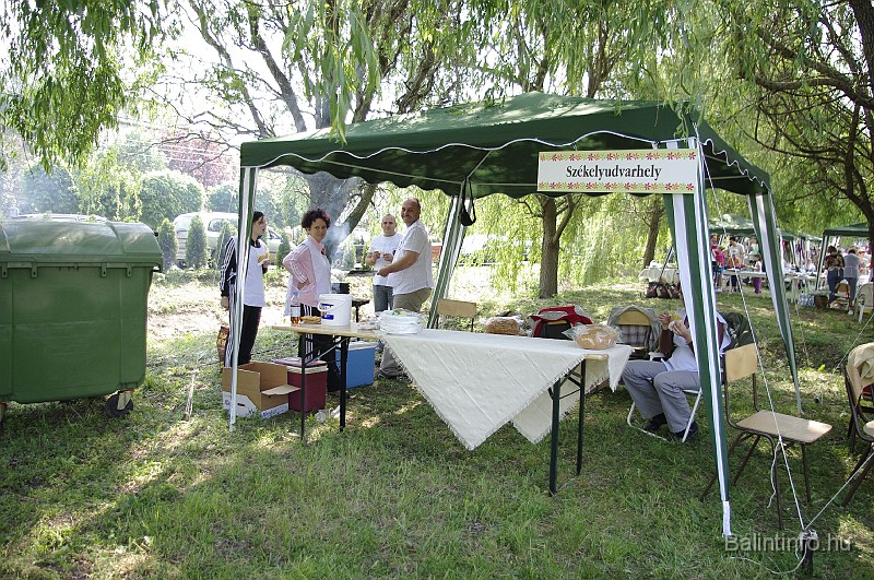 varosi_majalis_2009_0011.jpg