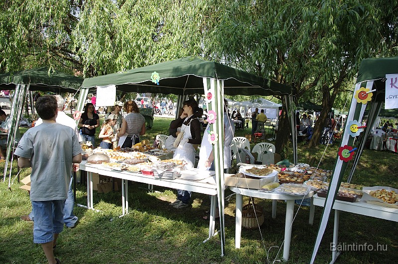varosi_majalis_2009_0014.jpg