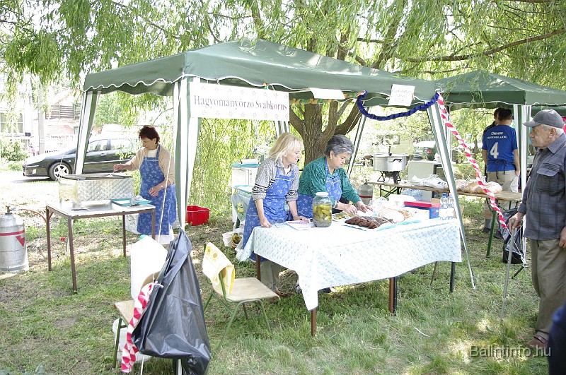varosi_majalis_2009_0015.jpg