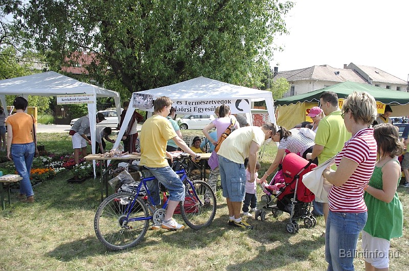 varosi_majalis_2009_0026.jpg