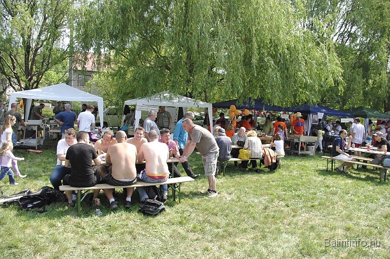 varosi_majalis_2009_0031.jpg