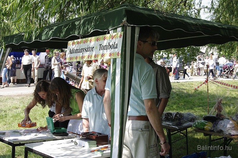 varosi_majalis_2009_0033.jpg