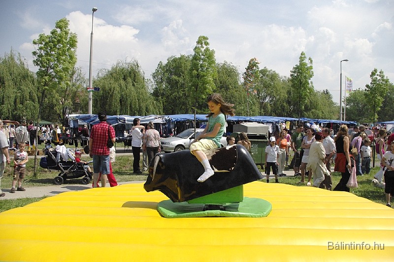 varosi_majalis_2009_0043.jpg